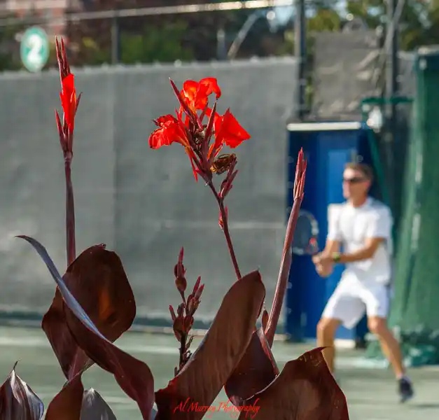 training for senior tennis Training for senior tennis is almost more important than playing. Prepping your body during your off time will save you pain during your matches.