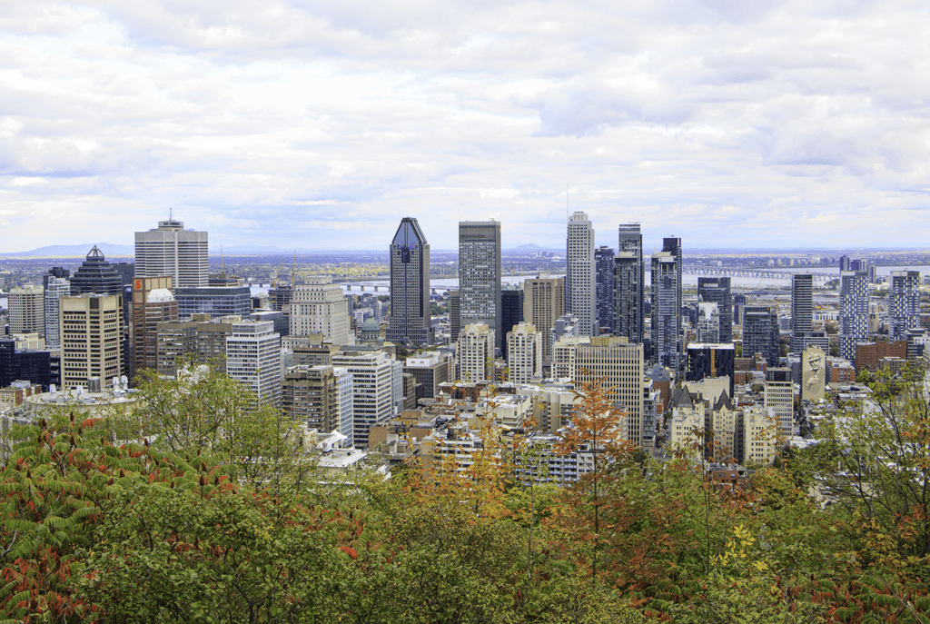 Montreal from Mont Royal