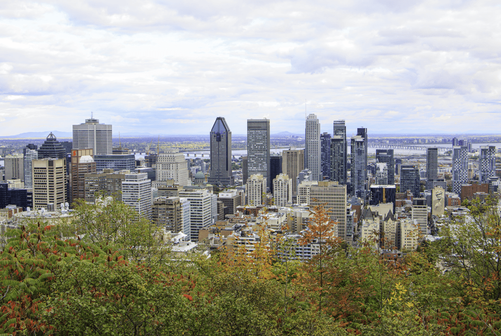 Why visit Monreal? Why not? Montreal is beautiful no matter the season