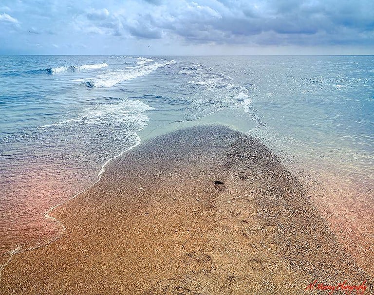The tip of Point Pelee National Park the southern most point of mainland Canada.