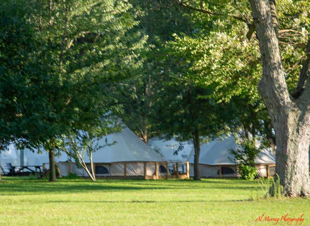 Things to do in Windsor Essex - Glamping at Lungovita Camp