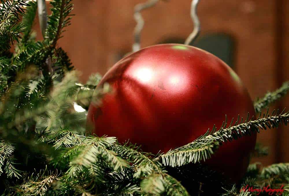 Does Canada celebrate New Years? Come on up and find out. Decorations like the red xmas bulb ornament will still be out and hanging from trees every where.