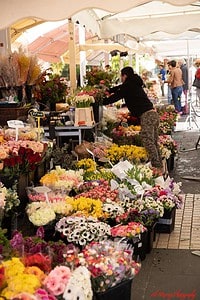 The Flower market in Cours Saleya