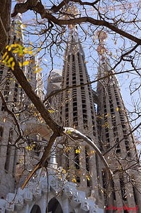 View of the towering spires of the Sagrada Família framed by tree branches with early spring leaves. This iconic site is a popular highlight on senior-friendly tours around Barcelona, offering accessible paths and guided visits for all mobility levels.