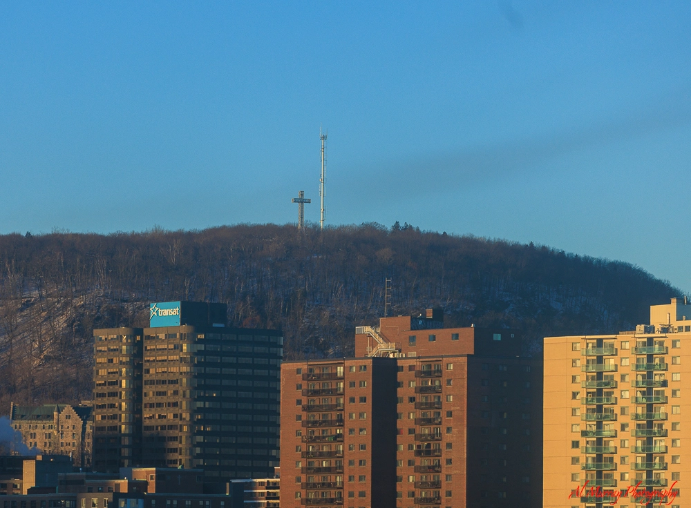 Mount Royal view from Hyatt Place Hotel Montreal
