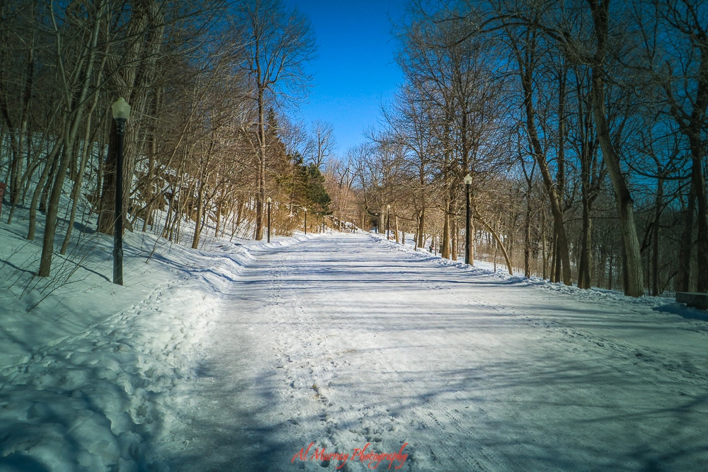 Mount Royal after a huge snow storm most like many residential streets can be tricky