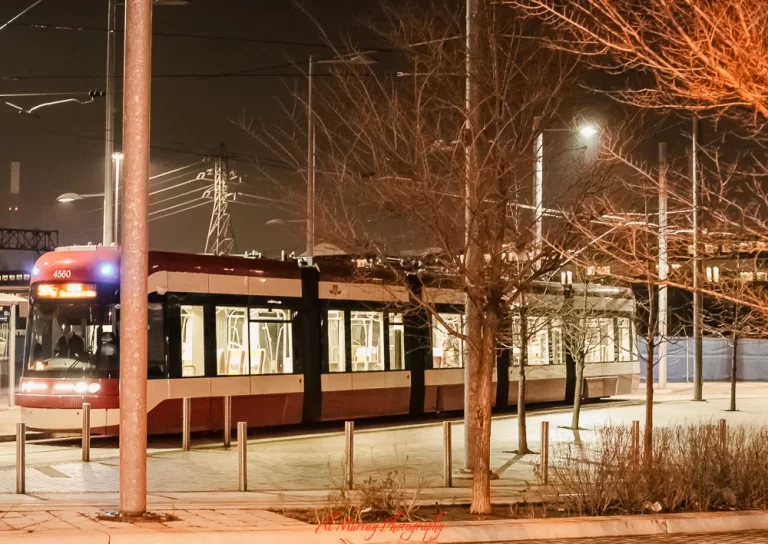 Nighttime view of a 504 King streetcar stopped along a city street in Toronto, with interior lights glowing through the windows and bare tree branches in the foreground. Overhead power lines stretch across the dark sky, capturing the urban atmosphere along the route featured in a 504 King streetcar Toronto itinerary. The illuminated streetcar contrasts with the surrounding buildings, highlighting public transit as a key part of exploring the city.