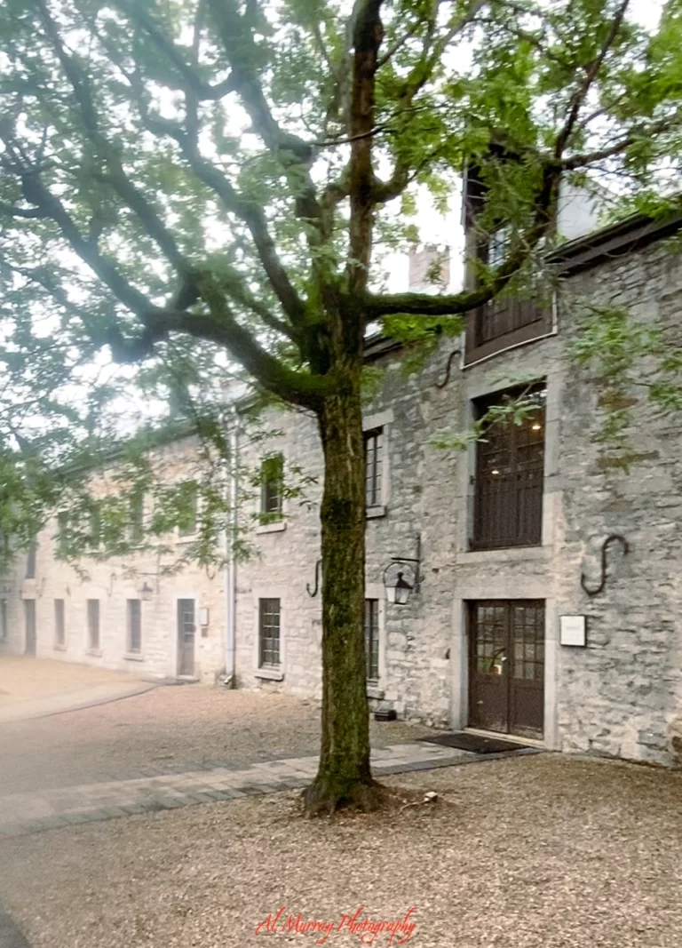 View of the courtyard offices near Gibby's Steakhouse, 298 Place D'Youvill