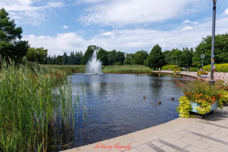 NBOpen in Montreal is a 15 minute walk from De Castelnau Metro through a beautiful green space in which you can unwind.