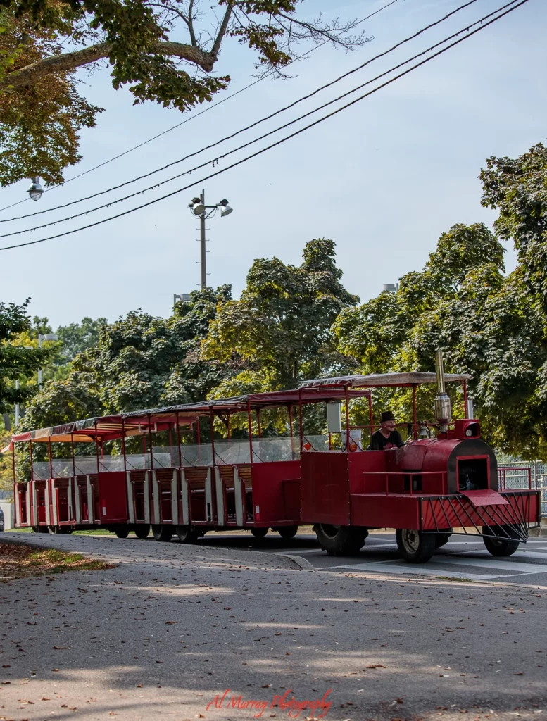 Red trackless train carrying passengers along a tree lined path under clear skies in High Park. The scene shows a relaxed ride through high park toronto in spring and summer with lush greenery surrounding the route.