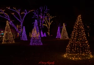 New Years Eve in Nagara Falls must include a walk through the festival of lights. 