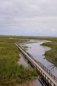 New year's eve windsor essex count The boardwalk in Point Pelee National Park is one of the many natural settings one should explore in the regiona