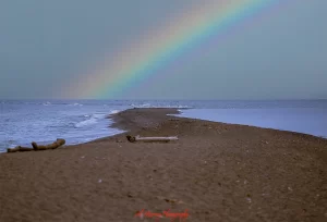New year's eve windsor essex count Point Pelee National Park the most southern point on mainland Canada