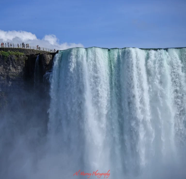 Niagara Falls on New Year's eve is a light extravaganza. From fireworks to parks adorned with xmas lights.