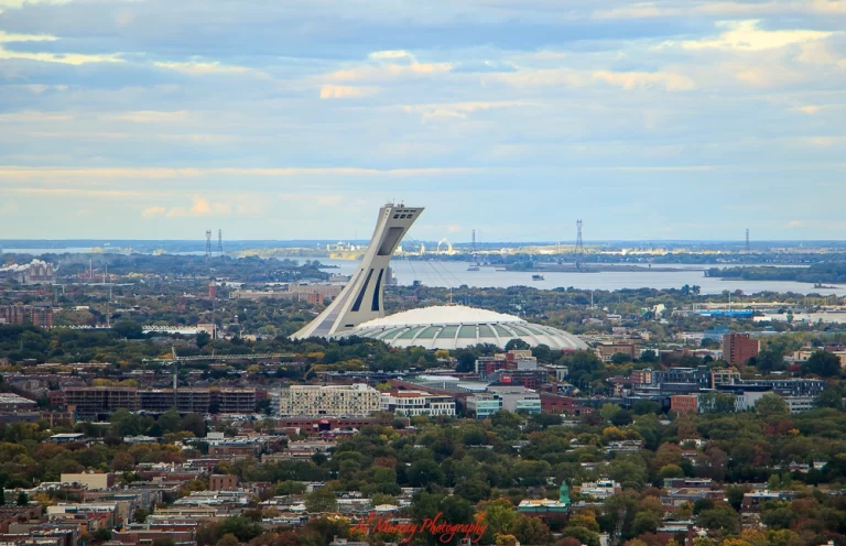 Fall foliage drives starting in Montreal should include a quick drive up Mount Royal first