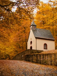 Renting a car and heading to the country is the best way to enjoy the splendour of autumn