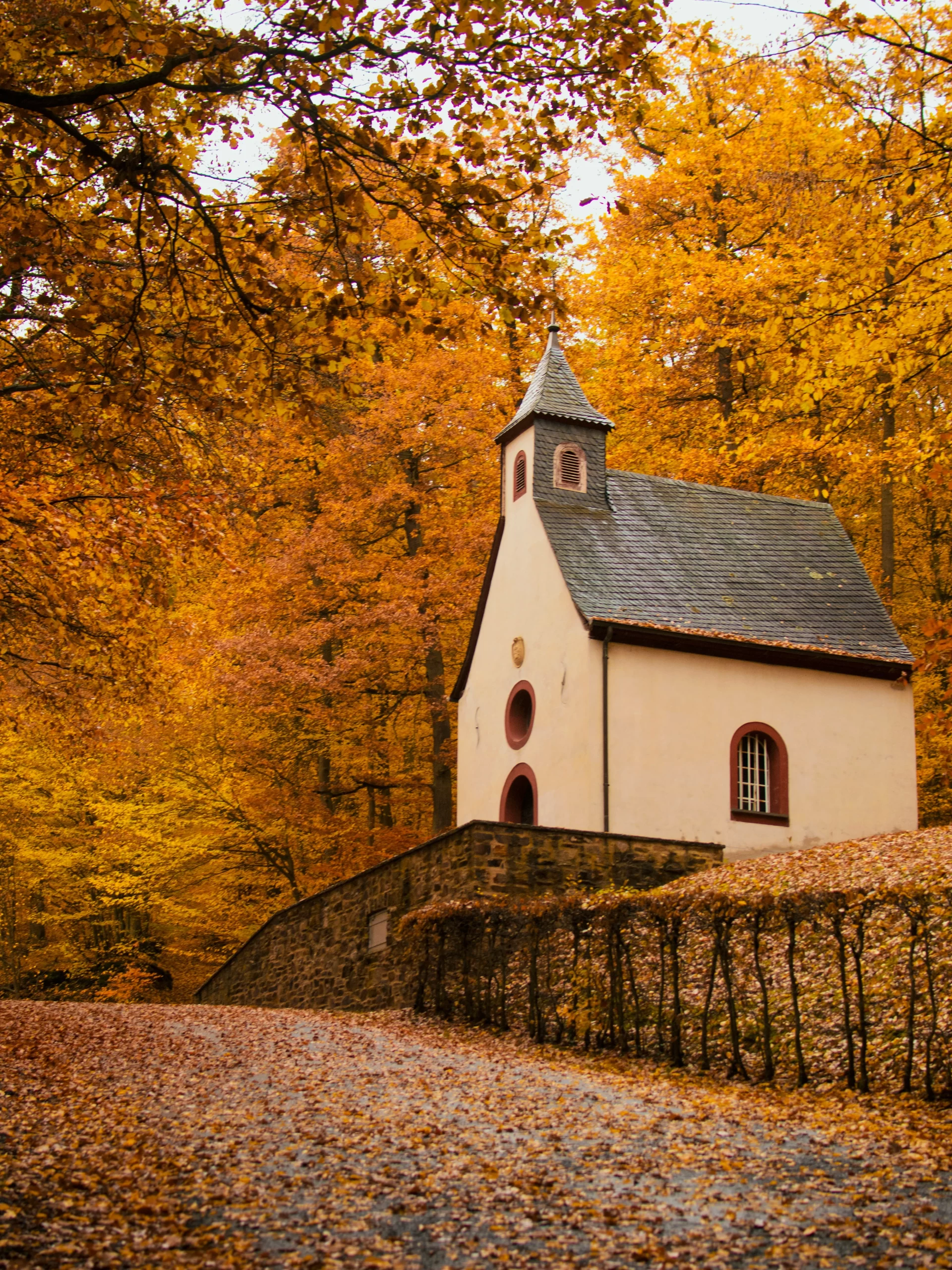Renting a car and heading to the country is the best way to enjoy the splendour of autumn
