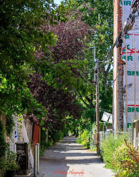 Exploring Montreal's streets and alieyways can lead you to vistas you wouldn't expect in a big city like Montreal