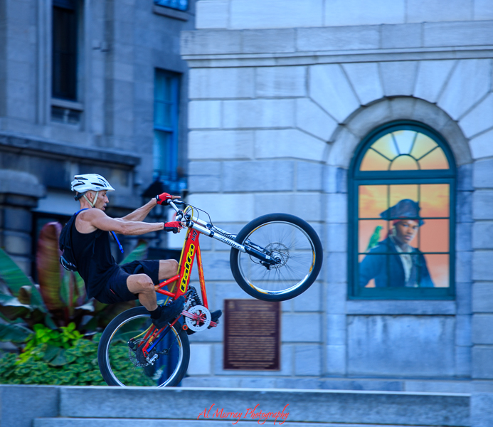 Montreal has something for everyone all times of the year.