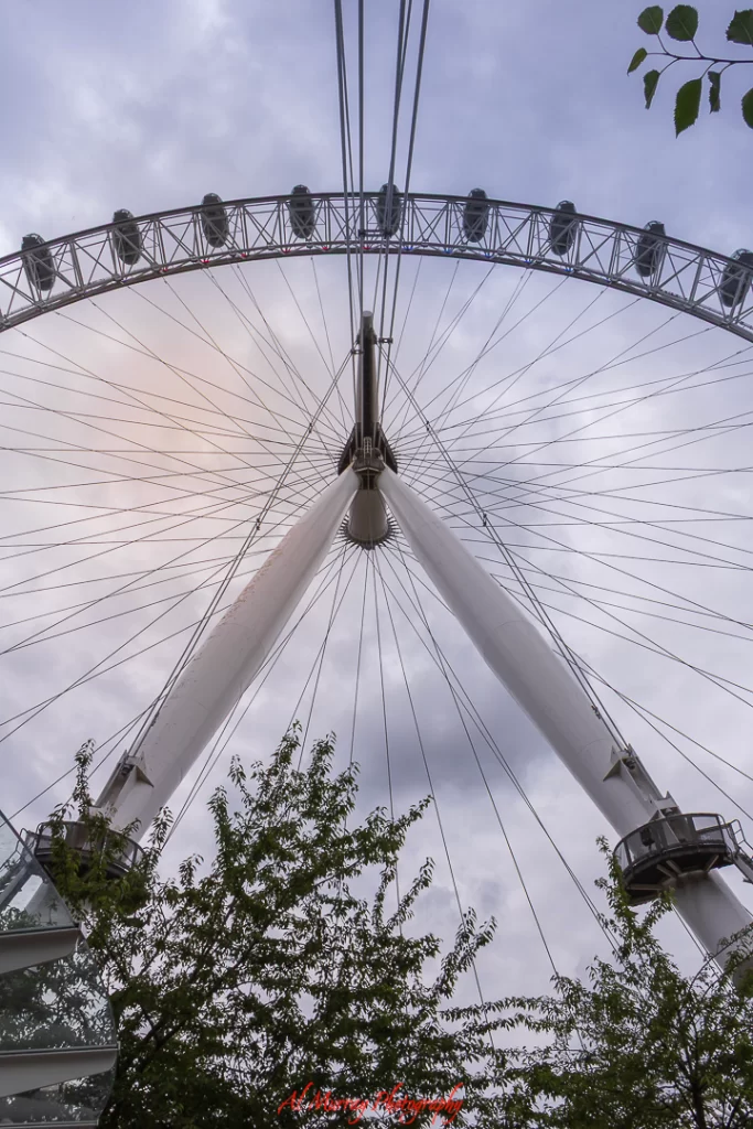Dramatic upward view of the London Eye’s steel frame and support cables against a cloudy sky, framed by leafy tree branches. A popular stop for sightseeing on Wimbledon off days, offering a relaxing break from the tennis crowds.