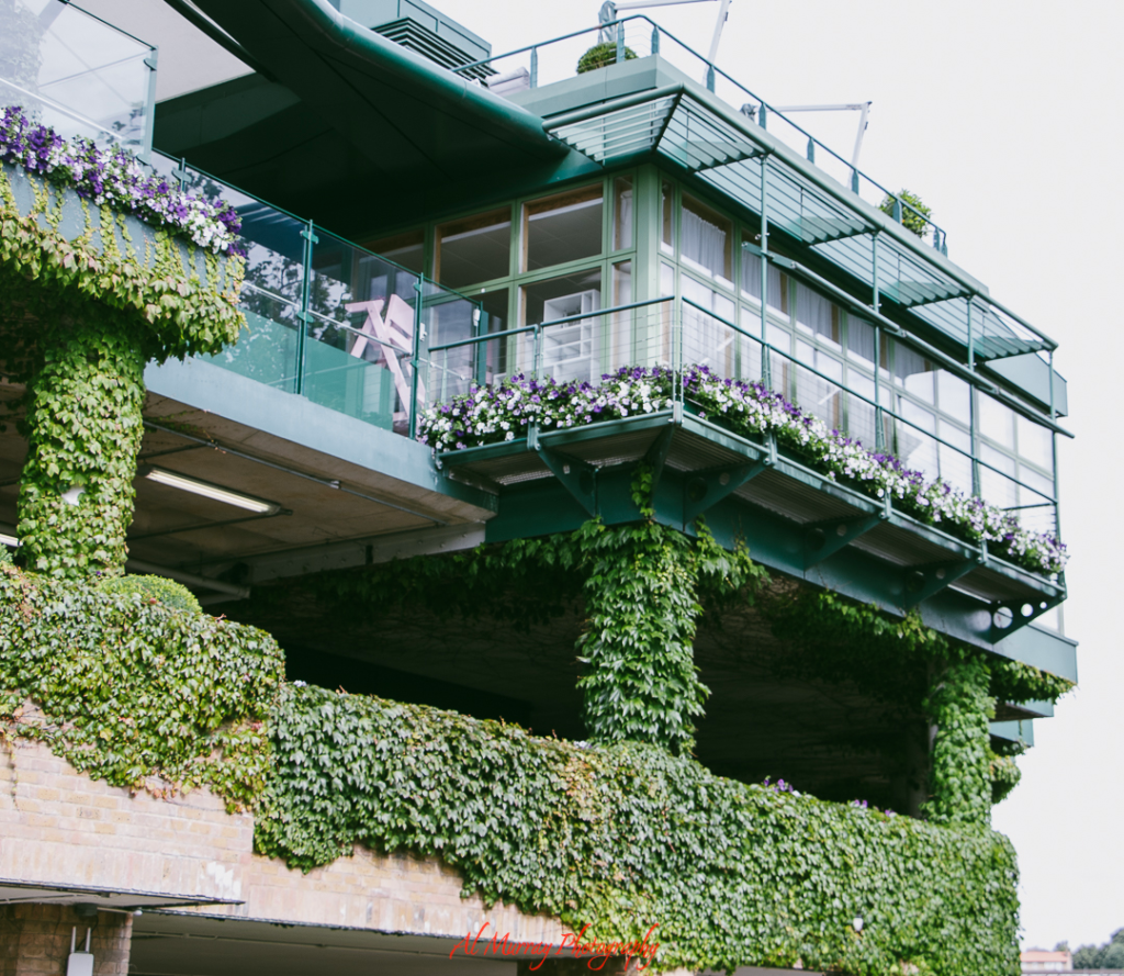 Green ivy-covered structure at the All England Lawn Tennis Club in Wimbledon, accented with hanging flower boxes and glass balconies. A picturesque and iconic destination for fans seeking the best tennis tournament holidays with classic charm and world-class matches.