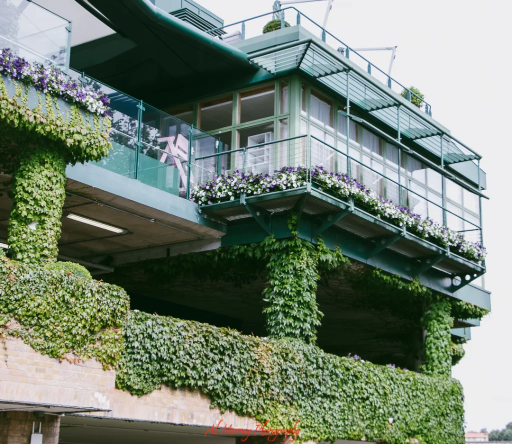 Close-up of a green-clad building at the All-England Tennis Club, featuring ivy-covered walls, glass balconies, and flower boxes overflowing with purple and white blooms. The elegant architecture reflects the club’s historic charm and prestige.