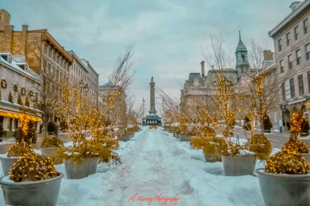 Snow-covered street in Old Montreal lined with potted trees wrapped in golden fairy lights, leading toward a tall monument at the end of the path. This charming winter scene captures the romantic ambiance perfect for a Montreal Valentine's Day itinerary for couples.
