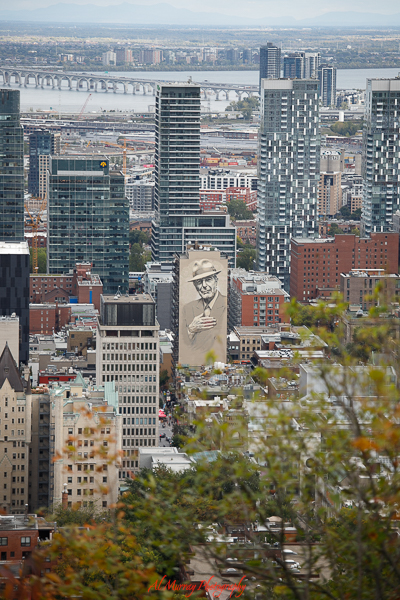 A cityscape view of downtown Montreal, Canada, with a prominent mural of Leonard Cohen on a high-rise building surrounded by modern skyscrapers and historic architecture. The mix of urban energy and cultural landmarks offers a welcoming setting for first-time solo travel seniors. Ideal for those seeking an easy-to-navigate city rich in music, art, and scenic overlooks.