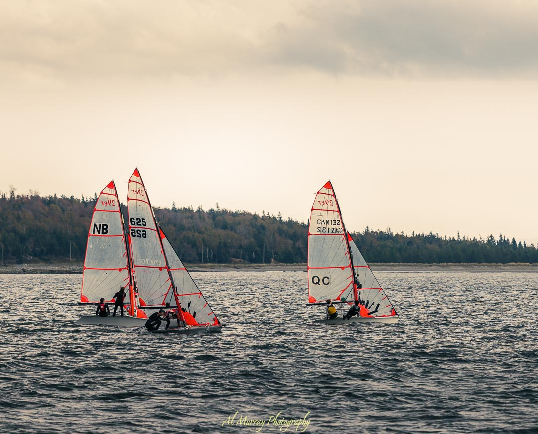 Three small sailboats with red-trimmed sails glide across choppy water near a forested shoreline under a soft, overcast sky. The boats are marked NB and QC, hinting at a regional sailing event. Scenic waterfront moments like this offer a peaceful backdrop for a Halifax or Cape Breton romantic getaway.