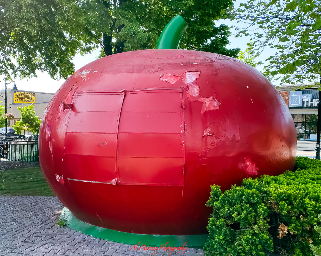 A large, weathered red tomato-shaped structure with a green stem stands in a small park area in downtown Leamington. surrounded by greenery and local businesses. This quirky roadside attraction offers a nostalgic photo op and is a lighthearted stop on a spring outing for older adults exploring things to do in Windsor Essex County.