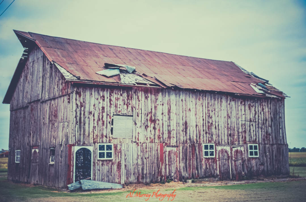 A weathered red barn with a rusted metal roof and faded wooden siding stands alone in a flat rural field under a pale spring sky. This rustic scene captures the charm of countryside stops on short Canada spring getaways, offering quiet moments and photo-worthy heritage along backroad routes.
