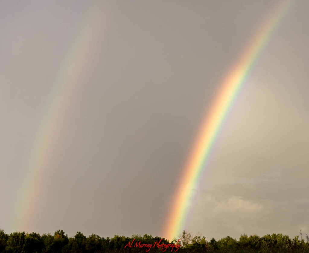 A vivid double rainbow arcs across a cloudy spring sky above a tree-lined horizon, casting a soft glow after rainfall. Scenes like this capture the quiet beauty found on short Canada spring getaways, where nature’s surprises offer peaceful moments and photo-worthy memories.
