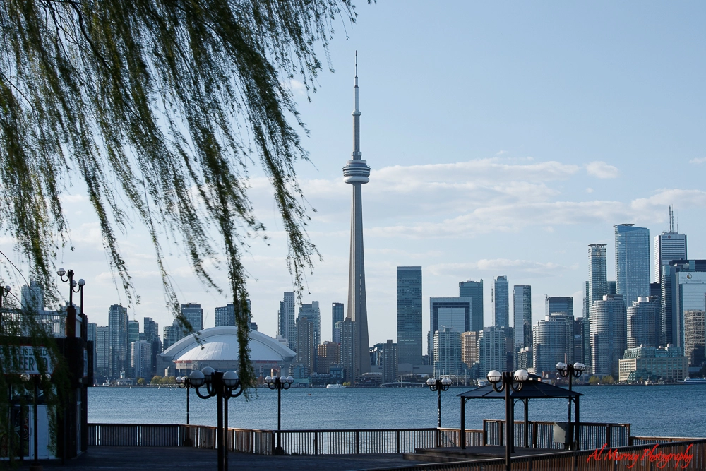 Toronto waterfront skyline with the CN Tower rising above downtown buildings across the water on a clear spring day. The scene reflects relaxed sightseeing and urban scenery that fits best places to visit in Canada in spring for adults who enjoy city views and waterfront walks.