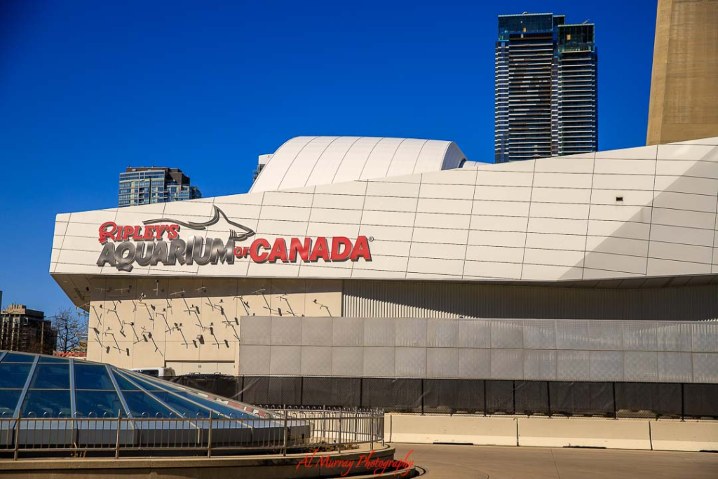 where to watch the world cup 2026 in Toronto Exterior of Ripley’s Aquarium of Canada in downtown Toronto with its bold red and black signage displayed across a modern white facade beneath a clear blue sky and surrounding high rise buildings. The image highlights one of the top Things to do in Toronto during World Cup 2026, offering visitors an indoor attraction steps from the city’s major event venues.