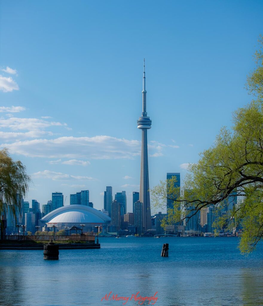 Toronto skyline with the CN Tower rising above the waterfront and city buildings on a clear day, representing popular areas featured in toronto neighbourhoods for tourists.