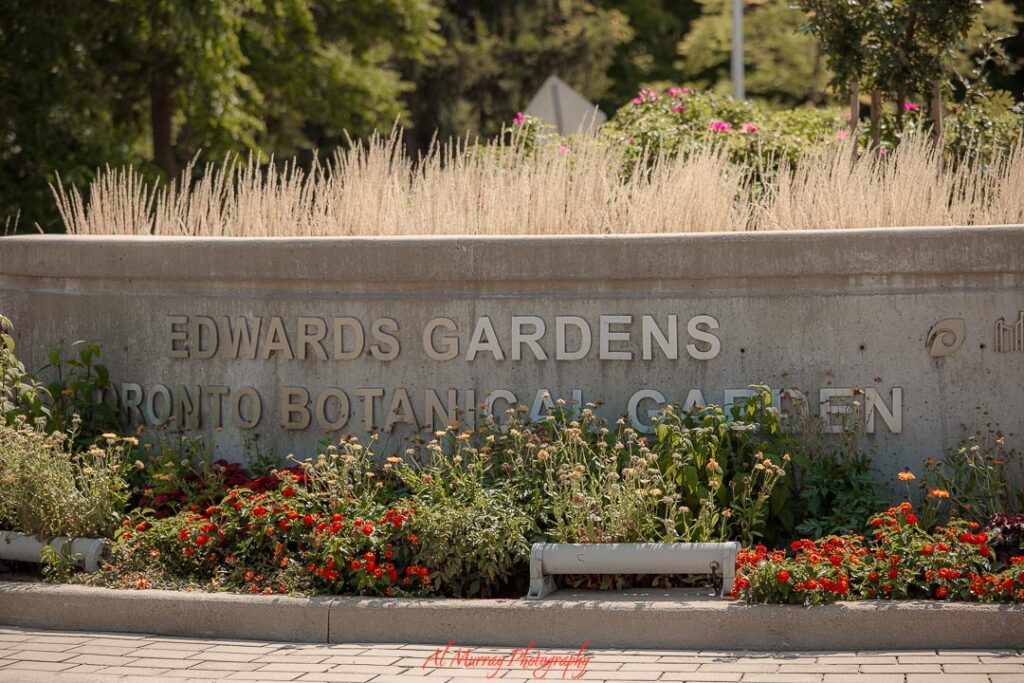 Stone sign reading "EDWARDS GARDENS TORONTO BOTANICAL GARDEN" surrounded by colorful flowers and greenery, highlighting a peaceful location in safe areas to stay in toronto for tourists.
