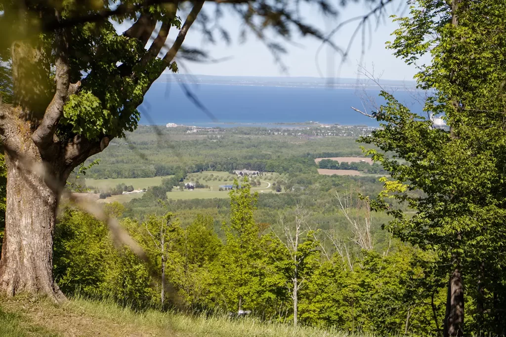 Scenic overlook framed by leafy trees reveals a peaceful rural landscape with fields, forests, and a blue lake in the distance, highlighting a relaxing nature destination ideal for spring and summer getaways from Toronto for seniors.