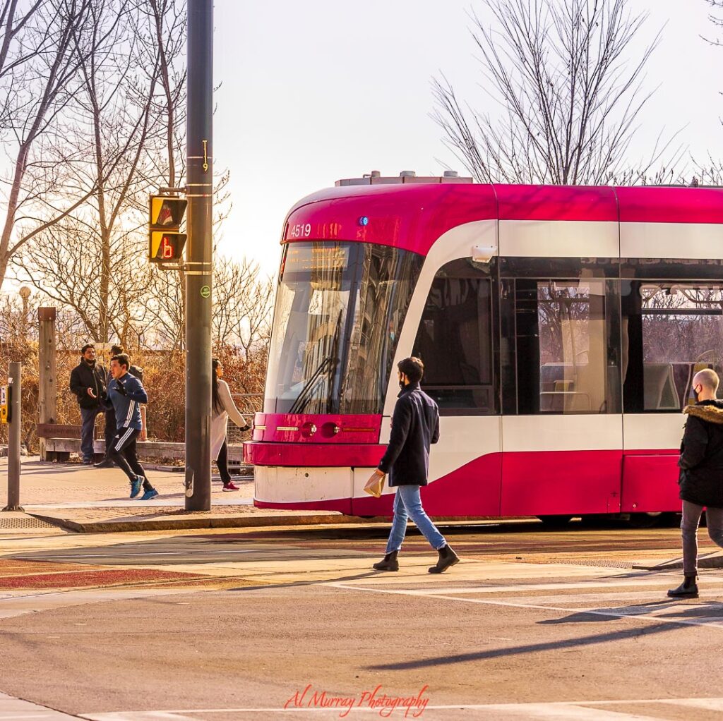 Red and white Toronto streetcar stopped at an intersection while pedestrians cross the street at a crosswalk during golden hour light. Urban transit and walkable streets highlight a lively area to consider when choosing Toronto neighbourhood hotels.