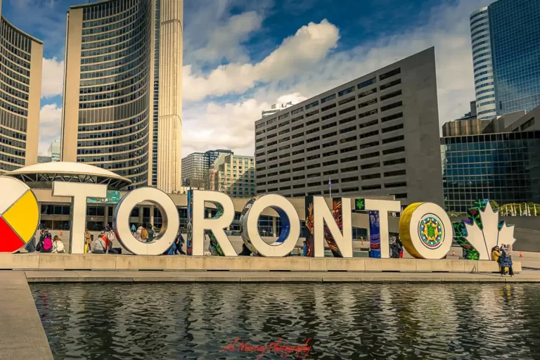 Large colorful Toronto sign at Nathan Phillips Square with people sitting and walking nearby and a reflecting pool in the foreground. Surrounded by tall downtown buildings under a partly cloudy sky, showcasing a central area visitors might explore when choosing Toronto hotels by neighbourhood. keyword is "Toronto Hotels by Neighbourhood" Image: fairmont-royal-york-toronto.jpg Alt text: Historic Fairmont Royal York hotel facade in downtown Toronto with rows of arched windows and ornate stone detailing. Canadian and international flags line the entrance, representing a landmark stay option when exploring Toronto hotels by neighbourhood. keyword is "Toronto neighbourhood hotels" Image: toronto-waterfront-skyline.jpg Alt text: Toronto skyline across the waterfront with modern high rise buildings reflected in calm lake water and tree branches framing the right side. Soft sunlight and budding flowers in the foreground highlight a scenic area near Toronto neighbourhood hotels popular for lakeside views. keyword is "Toronto neighbourhood hotels" Image: toronto-streetcar-crosswalk.jpg Alt text: Red and white Toronto streetcar stopped at an intersection while pedestrians cross the street at a crosswalk during golden hour light. Urban transit and walkable streets highlight a lively area to consider when choosing Toronto neighbourhood hotels. keyword is "Toronto hotels by neighborhood" Image: toronto-presto-ticket-machine.jpg Alt text: Black PRESTO fare machine at a Toronto transit station with screen and payment options labeled "FARES TITRES", "Coins Pièces", "Credit Debit", "Bills Argent", and "Barcode Code barres". Public transit access like this helps visitors navigate between areas when staying at Toronto hotels by neighborhood. keyword is "where to stay in Toronto" Image: toronto-zoo-rhinoceros.jpg Alt text: Rhinoceros walking across a dirt enclosure with a blue barrel toy on the ground and trees in the background at a Toronto zoo. Outdoor attractions like this offer family friendly activities near areas to consider when deciding where to stay in Toronto. keyword is "Toronto hotels by neighbourhood" Image: toronto-zoo-baboon-closeup.jpg Alt text: Close up of a baboon with thick grey fur and a long narrow face looking downward against a rocky background. Wildlife experiences like this highlight attractions near areas to consider when choosing Toronto hotels by neighbourhood.