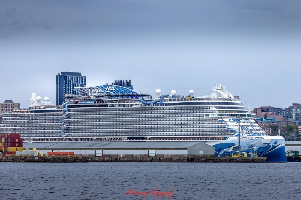 Massive modern cruise ship docked beside an urban waterfront, with rows of balcony cabins, upper deck attractions, and a city skyline rising behind it. The scale and resort style design help illustrate what type of traveller enjoys cruises, especially those who like convenience, onboard entertainment, and visiting multiple destinations in one trip.