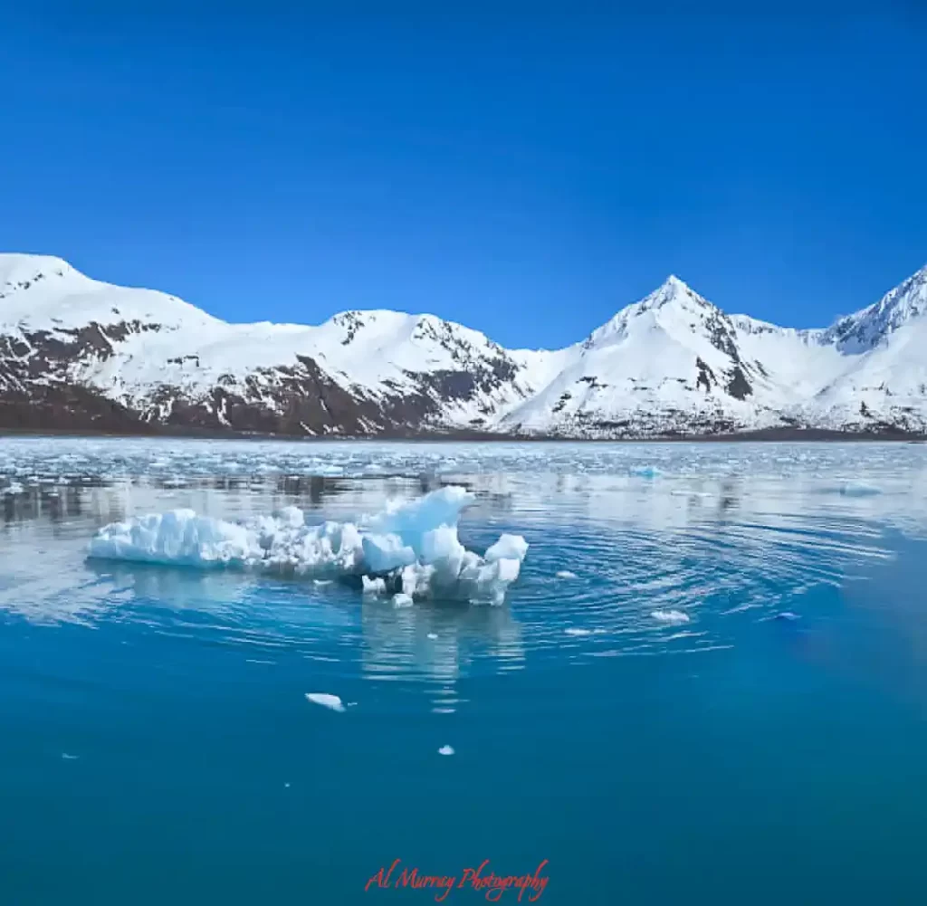 Bright blue polar water with a small floating iceberg in the foreground and snow covered mountains stretching across the horizon under a clear sky. This remote icy landscape highlights the kind of dramatic scenery travelers may weigh when choosing a long cruise vs short cruise.
