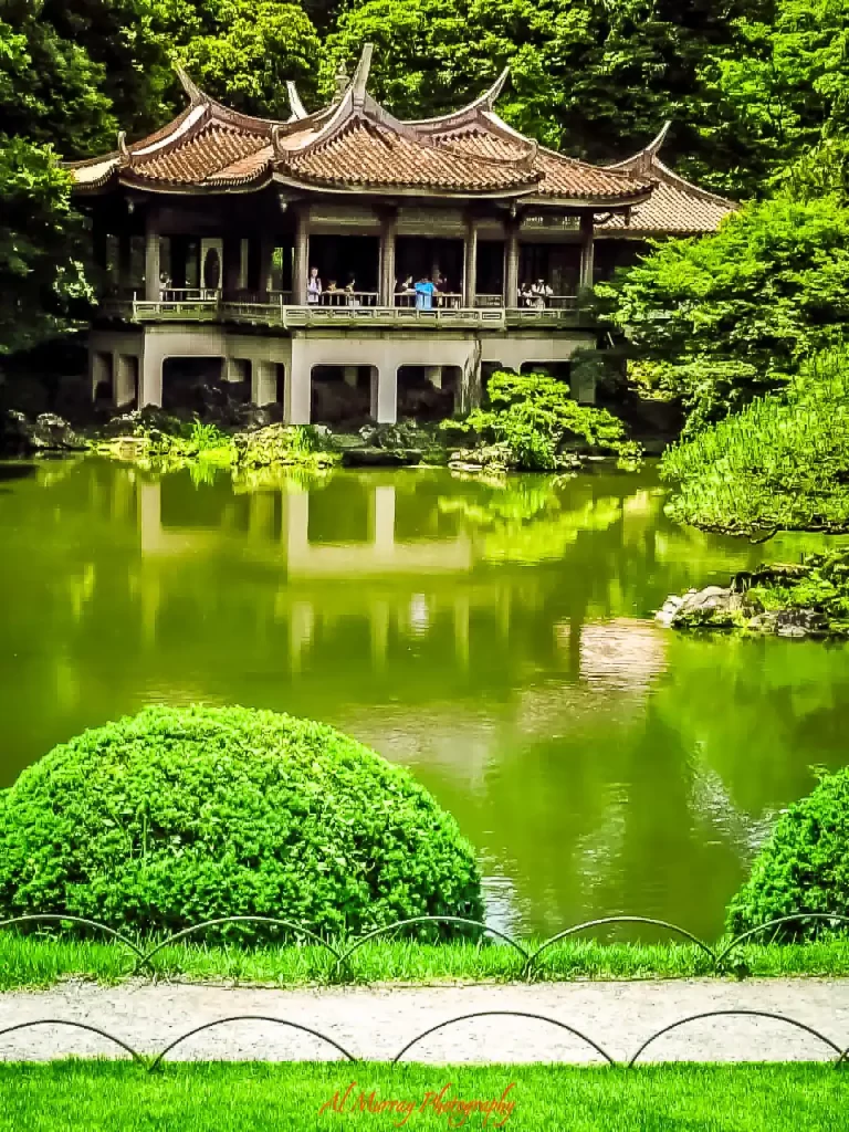 Traditional Japanese style pavilion surrounded by lush green trees and reflected in a calm garden pond. Peaceful cultural landmarks like this are a memorable highlight often featured in a Vancouver to Tokyo cruise review.