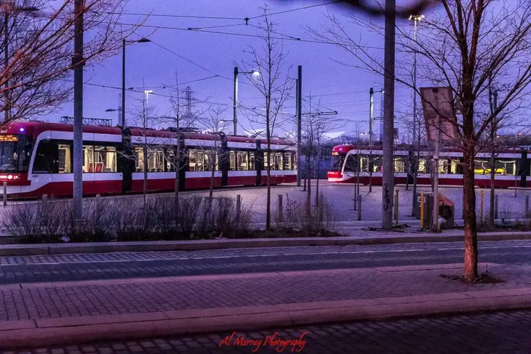 Red and white Toronto streetcars parked along tracks at dusk beneath a purple blue sky. Bare trees and glowing transit lights line the quiet street, capturing the atmosphere of a Toronto food tour by streetcar in the evening.