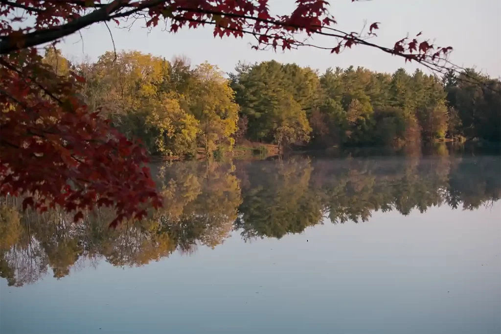 A calm lake reflects dense trees covered in green yellow and orange fall foliage. Deep red maple leaves frame the view while light mist hovers over the water in a peaceful setting suited to Canada fall and winter getaways.