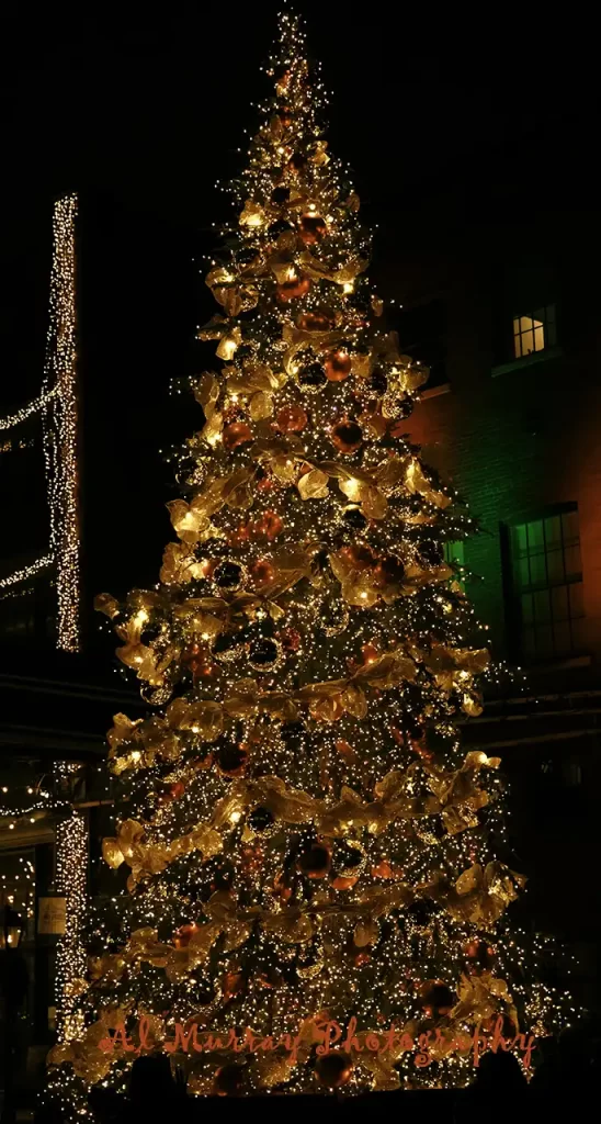 A tall outdoor Christmas tree glows at night with gold ribbon red ornaments and hundreds of warm white lights. Nearby building windows are lit in green and red