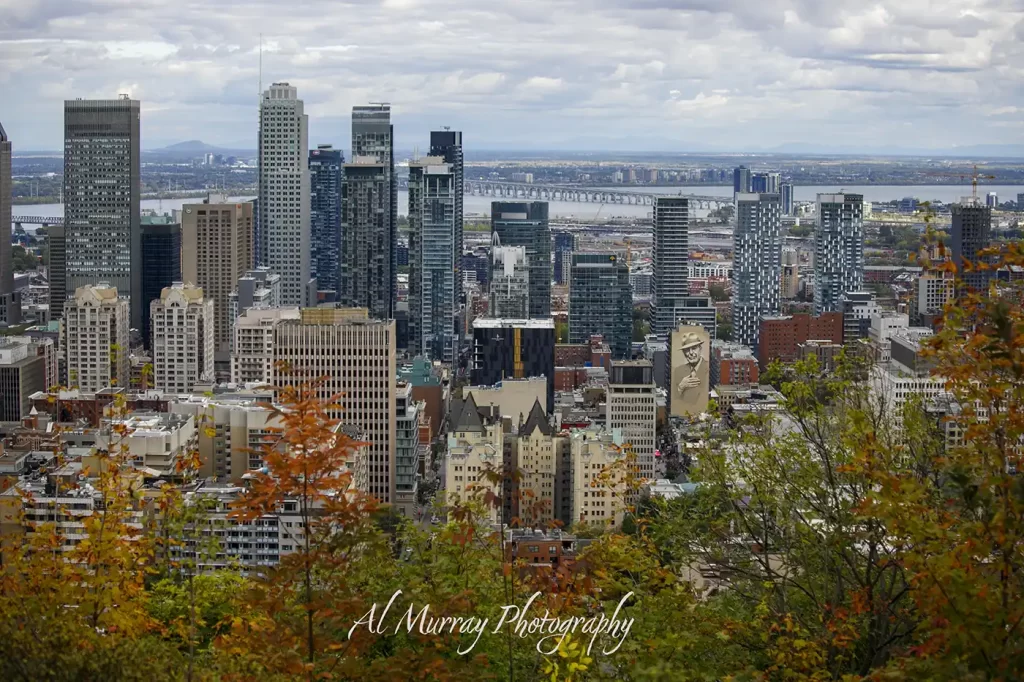 Downtown Montreal skyline viewed from Mount Royal with colorful autumn foliage in the foreground and the Saint Lawrence River stretching behind the high rises. The city view highlights a scenic stop on an Eastern Canada fall itinerary and the watermark reads "Al Murray Photography".