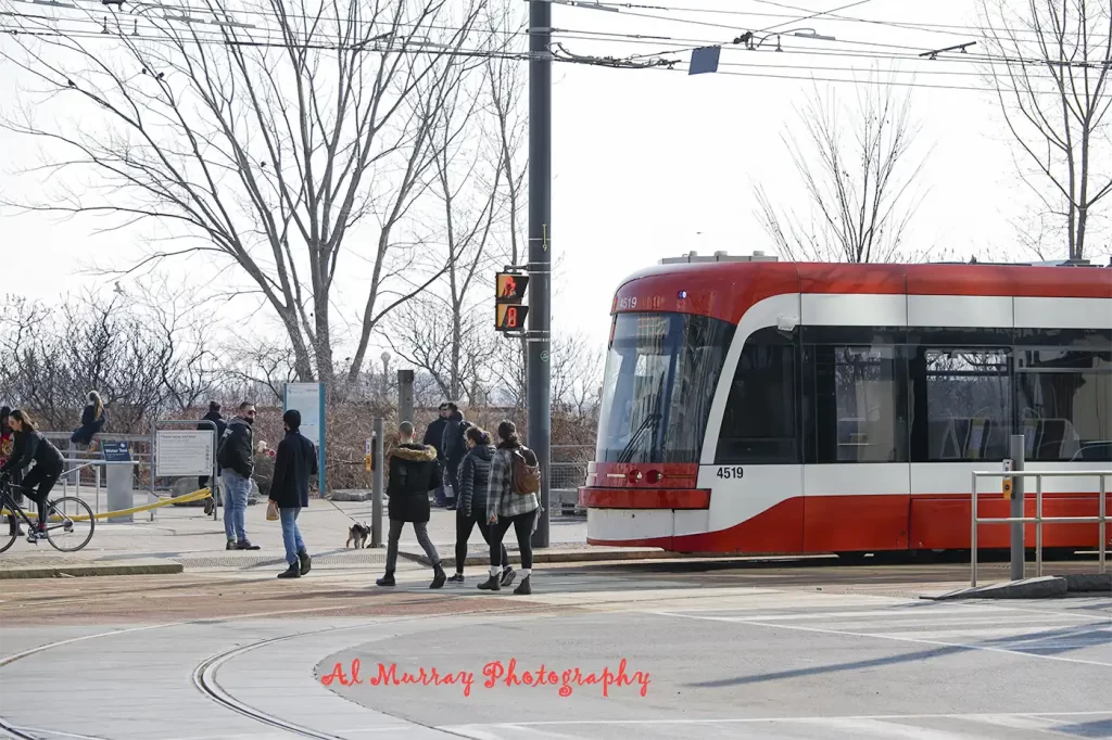 toronto airport hotel vs downtown A red and white Toronto streetcar passes pedestrians and bare trees on a bright downtown street. The scene shows the downtown side of a Toronto Airport Hotel vs Downtown comparison