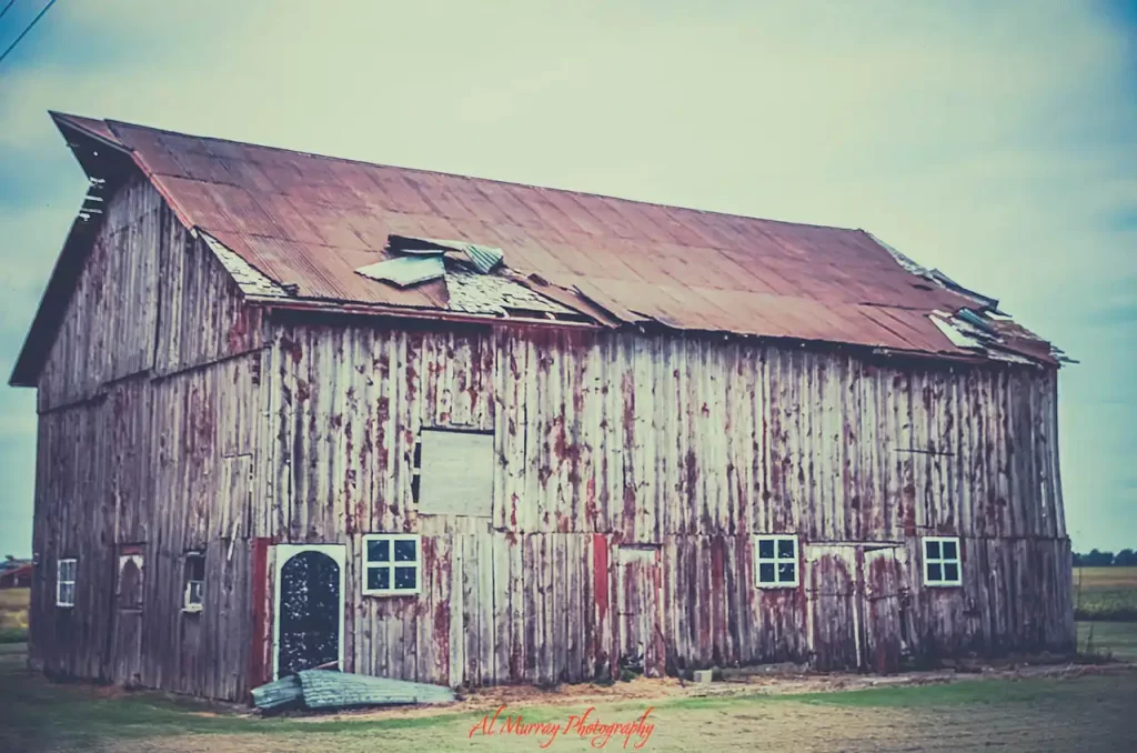 A weathered wooden barn with faded red siding and a rusted damaged roof stands beside open farmland during a Windsor Essex weekend getaway. Small white framed windows and a dark arched doorway break up the worn exterior and a red watermark reads "Al Murray Photography"