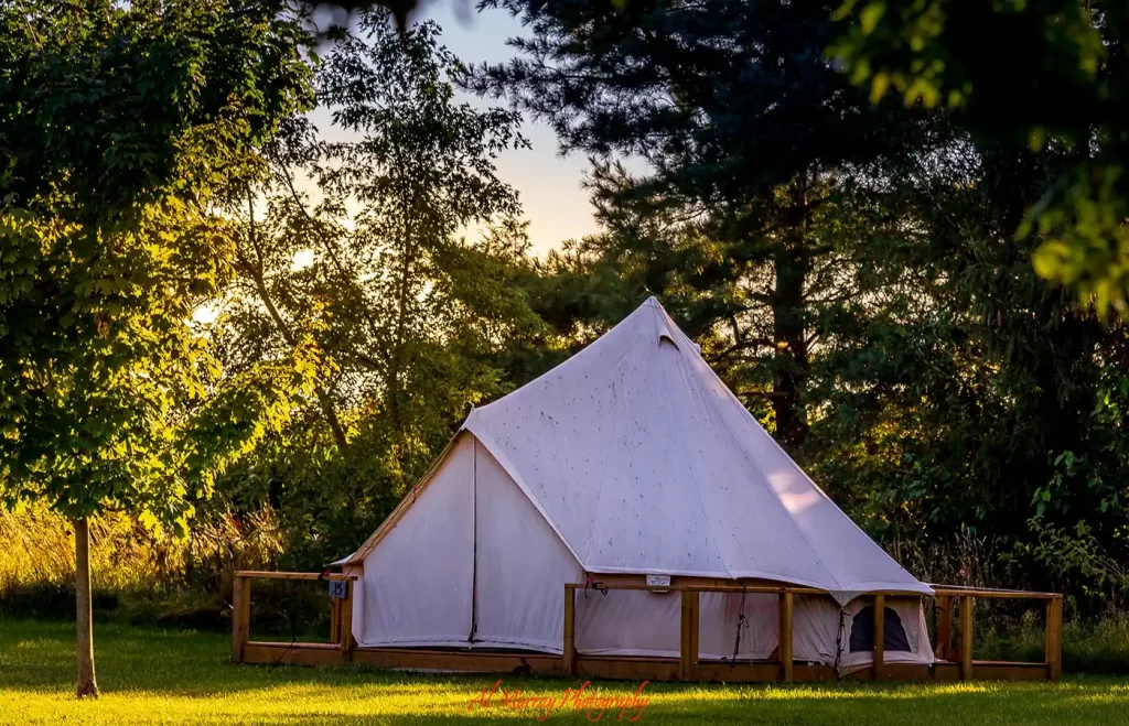 A large white canvas bell tent stands on a wooden platform in a grassy clearing surrounded by trees during an Essex County glamping stay. Warm evening sunlight filters through the leaves and a red watermark reads "Al Murray Photography".