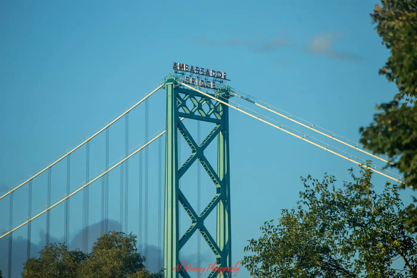 The green suspension tower and cables of the Ambassador Bridge rise above leafy trees under a clear blue sky during a Windsor Essex getaway. Signs at the top read "AMBASSADOR BRIDGE" and a red watermark reads "Al Murray Photography"